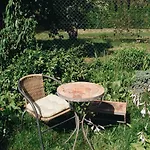ベッド・アンド・ブレックファスト Powiew - - - Tennis Garden Breakfast At Baltic Sea (adults Only) 4*