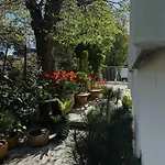 Powiew - - - Tennis Garden Breakfast At Baltic Sea (adults Only) 4* シフィノウイシチェ