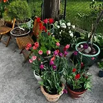 Powiew - B&B Pensjonat Noclegi Swinoujscie - Unterkunft Swinemuende - Guesthouse Tennis Garden Breakfast At Baltic Sea (Adults Only)