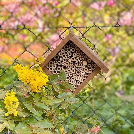 Powiew - - - Tennis Garden Breakfast At Baltic Sea B&B 4*