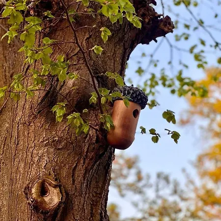 Powiew - Adults Only - - Tennis Garden Breakfast At Baltic Sea 4* Świnoujście