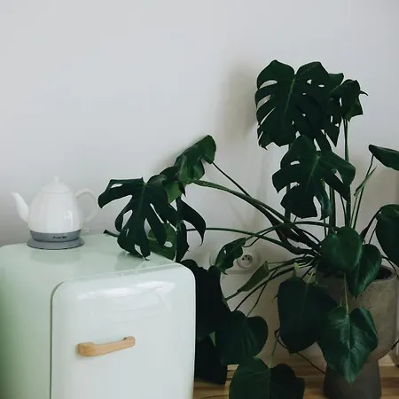 Powiew - Adults Only - - Tennis Garden Breakfast At Baltic Sea