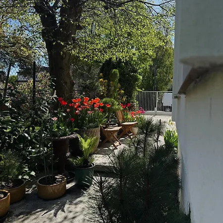 Powiew - B&B Pensjonat Noclegi Swinoujscie - Unterkunft Swinemuende - Guesthouse Tennis Garden Breakfast At Baltic Sea (Adults Only) 4* Swinemünde