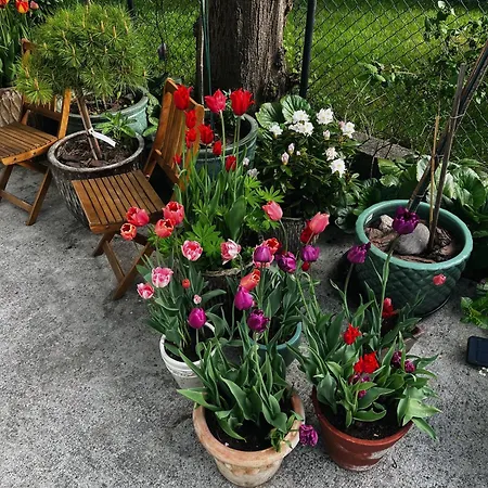 Powiew - Adults Only - - Tennis Garden Breakfast At Baltic Sea