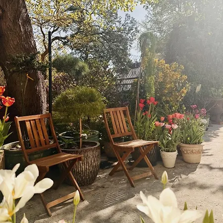 Powiew - Adults Only - - Tennis Garden Breakfast At Baltic Sea