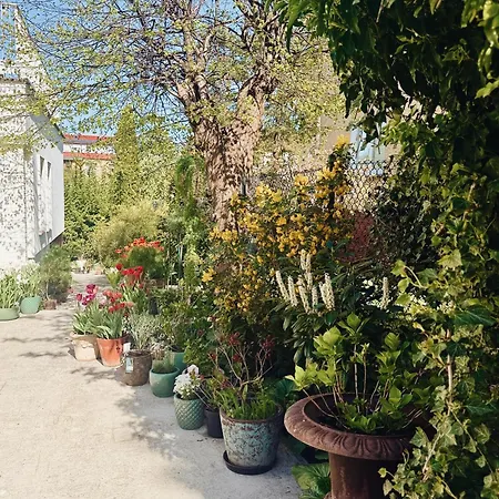 Powiew - - - Tennis Garden Breakfast At Baltic Sea B&B 4*